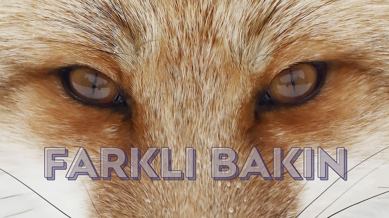 Pazarlamaya Bir de Böyle Bak; ÖZELLİK SATMA!